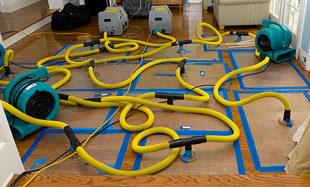 Professional Structural Drying And Dehumidification technician working in Lafayette, OH